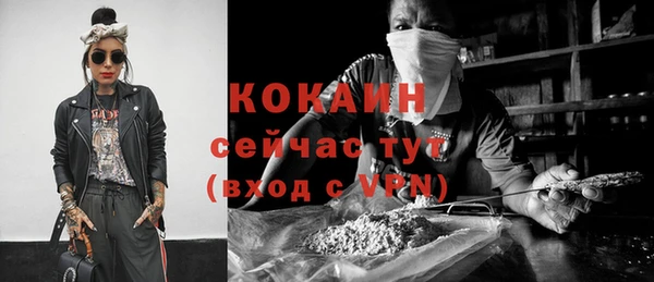 дурь Заводоуковск