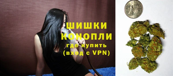 мдпв Дмитриев