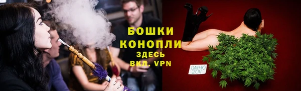 дурь Заводоуковск
