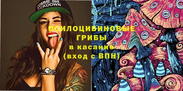 mdpv Ельня