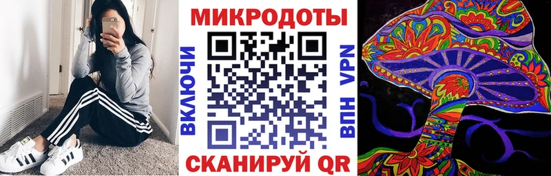 Купить закладки  Людиново  Галлюциногенные грибы Psilocybe 
